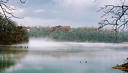 自然,水,樹
