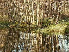 水,河,湖