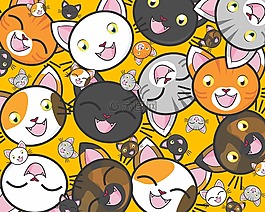 猫,可爱,基蒂