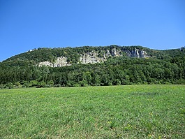 草地,夏季,巖