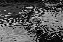 水坑里,水,雨