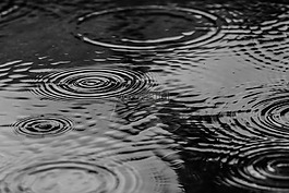 水坑里,水,雨