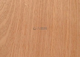 木材,紋理,樹