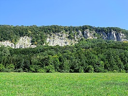 草地,夏季,岩壁
