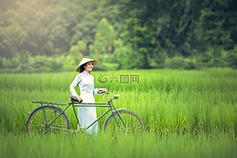 自行車,女人,綠