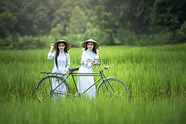自行車,女人,綠
