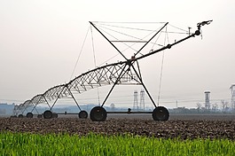 農業,澆水,水
