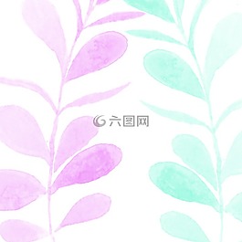 草,鮮花,性質(zhì)