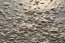 污染,環(huán)境,水