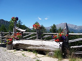 南蒂羅爾,山,阿爾姆