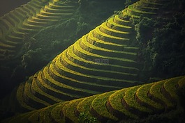 高爾夫俱樂部,那個村莊。,農(nóng)業(yè)