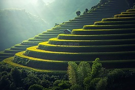 高爾夫俱樂部,那個村莊。,農(nóng)業(yè)