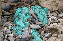 漂流物,海灘,海