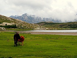 性質(zhì),科西嘉島,法國(guó)