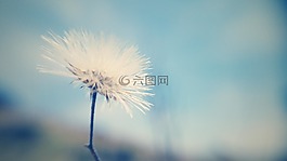 天空,螺紋,白
