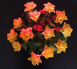 鮮花,玫瑰,玫瑰綻放