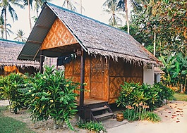 小屋,異國情調,熱帶