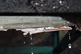下雨,雨水,雨滴