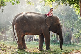 孩子們,非洲。,動物