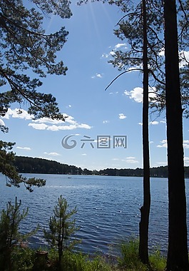 夏季,西伯利亚湖,西西伯利亚