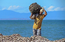 委內(nèi)瑞拉,海,海洋