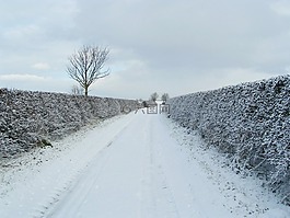 雪,車道,路