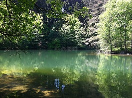 湖,水,綠色