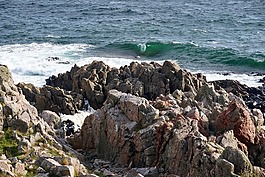 海,水域,海岸