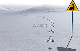 汝拉州,雪,野兔