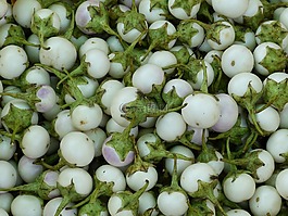 水果,熱帶地區(qū),異國情調(diào)