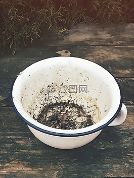 碗,牙釉質,上廁所