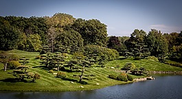 花園,日本花園,禪宗