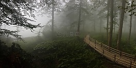 阿尔特温,性质,桥
