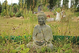 佛,佛教,宗教