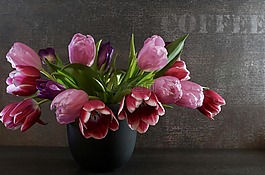 花,廠,郁金香