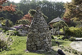 植物園,花園,景觀