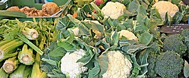 蔬菜,菜花,staudensellrie