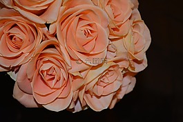 玫瑰,花束,安排