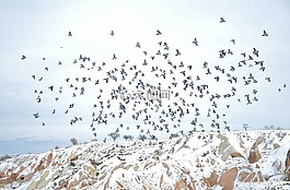 cappodocia,冬天,自然