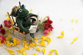 青蛙,讀取,報(bào)紙
