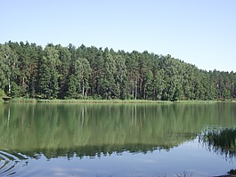 湖,马祖,鸭