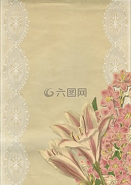 釀酒,花,藝術(shù)