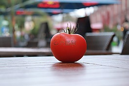 番茄,蕃茄,紅色