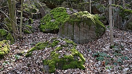 石頭,苔,綠色