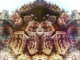 抽象,分形,特寫