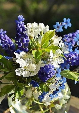 鮮花,束鮮花,春天