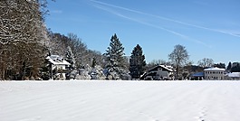 冬天,雪,景觀