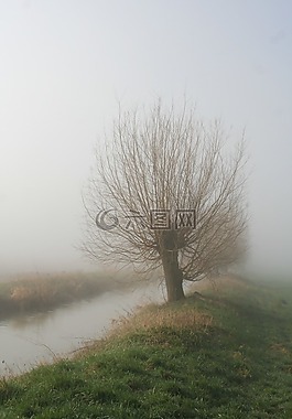 霧,冬天,小通道