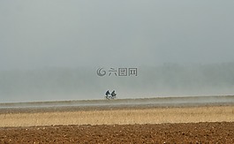 自行車,字段,霧