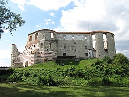 城堡,废墟,janowiec